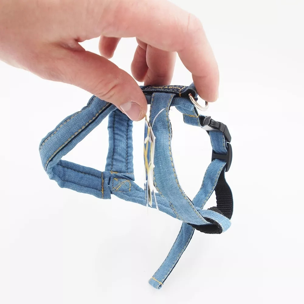 26/45 CM. Petnešos Gustaf & Evita GE221906