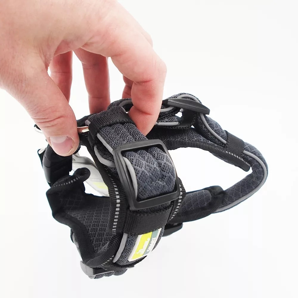 35-45 CM. Petnešos Hunter H93052