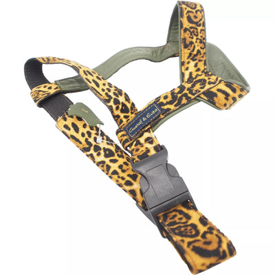 40/80 Petnešos Gustaf & Evita