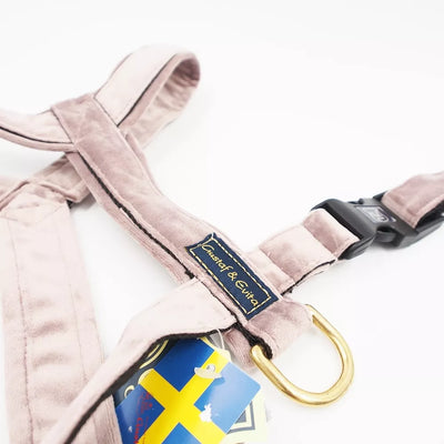 50/90cm. Gustaf & Evita petnešos