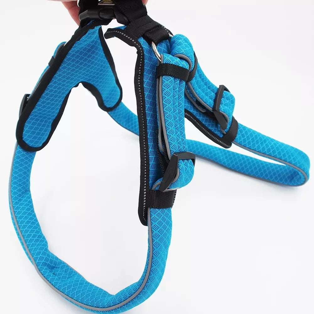 85-95 CM. Petnešos Hunter H93051