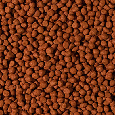 Tropical Cichlid Carnivore Medium Pellet granuliuotas maistas mėsėdžiams ciklidams 1000 ml