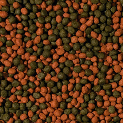 Tropical Cichlid Omnivore Medium Pellet granuliuotas maistas visaėdžiams ciklidams 1000 ml