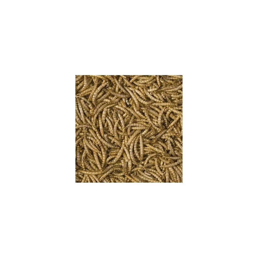 Tropical Mealorms džiovintos milčių lervos, 100 ml