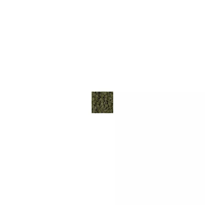 Tropical Green Algae Wafers maistas dugninėms žuvims 5 l