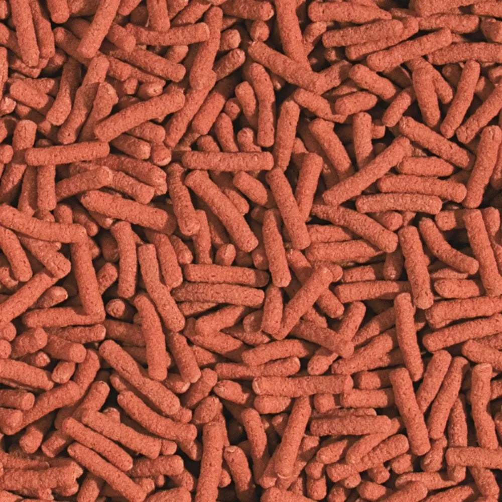 Tropical Koi&Goldfish Colour Sticks spalvą ryškinantis pašaras, 5 l