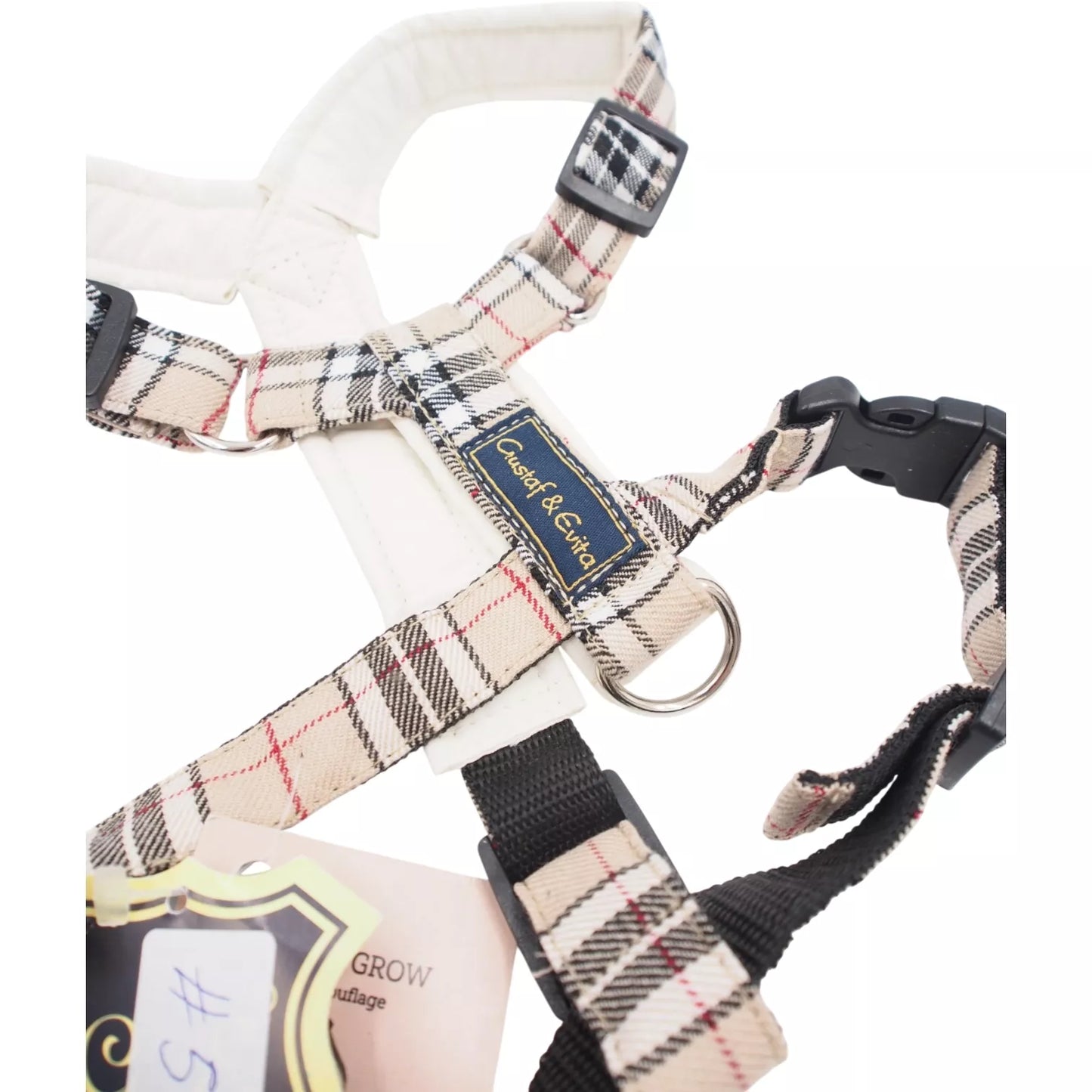 M Petnešos Gustaf & Evita