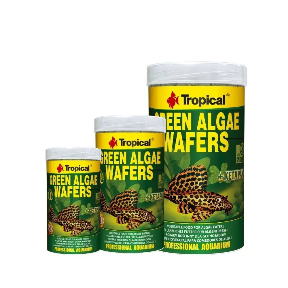 Tropical Green Algae Wafers pašaras dugninėms žuvims 100 ml