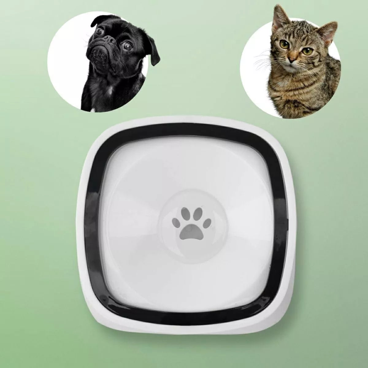 Maisto Ir Vandens Dubenėlis