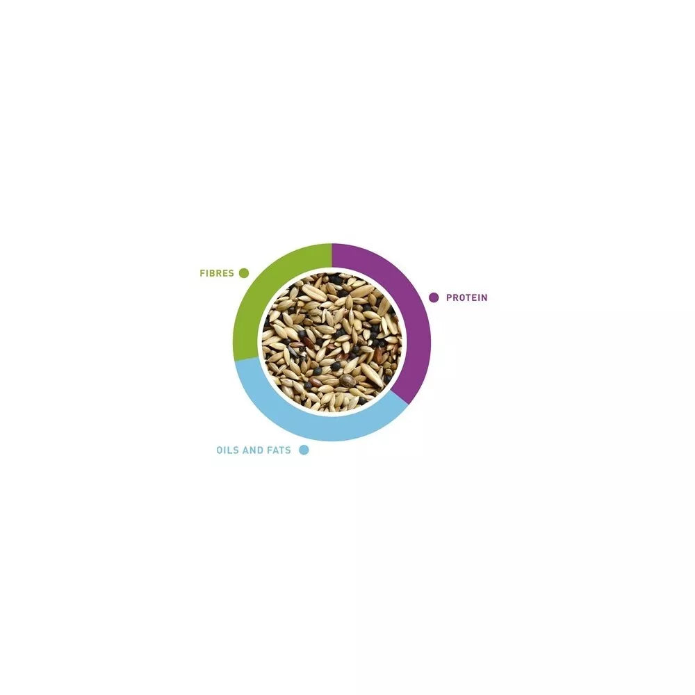 NaturalMix Canarini maistas kanarėlėms 1 kg