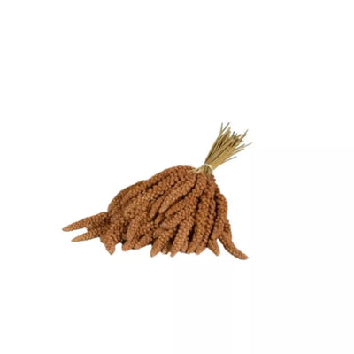 Panico Rosso in Spiga sorų kekės paukščiams 1 kg