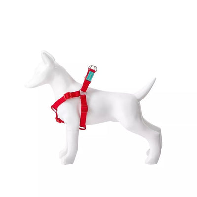 Petnešos Basic Nylon A-Type, raudonos, 10 mm x 20-36 cm