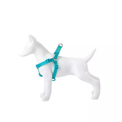 Petnešos Basic Nylon A-Type, turkio spalvos, 15 mm x 30-50 cm