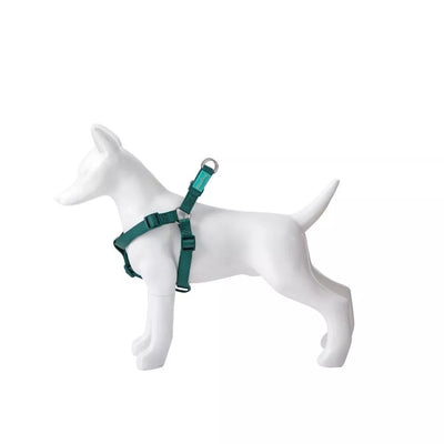 Petnešos Basic Nylon A-Type, žalios, 10 mm x 20-36 cm