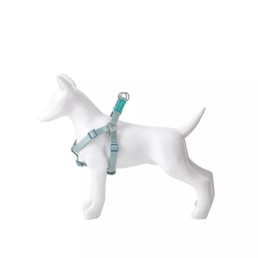 Petnešos Basic Nylon A-Type, žydros, 10 mm x 20-36 cm