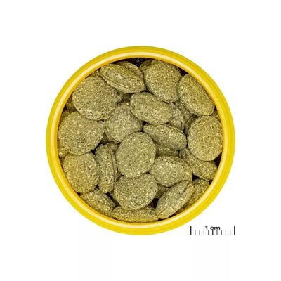 JBL ProNovo Pleco Wafer M pašaras žuvims 250 ml