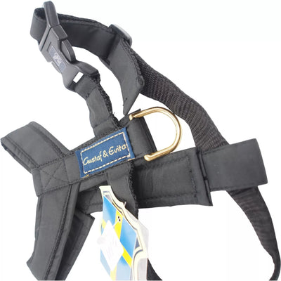 S Petnešos Gustaf & Evita