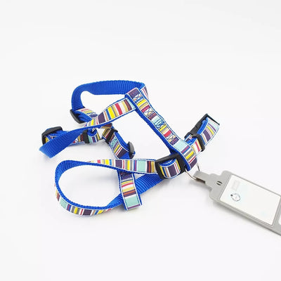 S Petnešos Hunter 91957