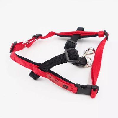 S petnešos šunims HALTI