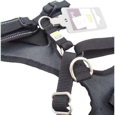 S Petnešos Šunims Hunter