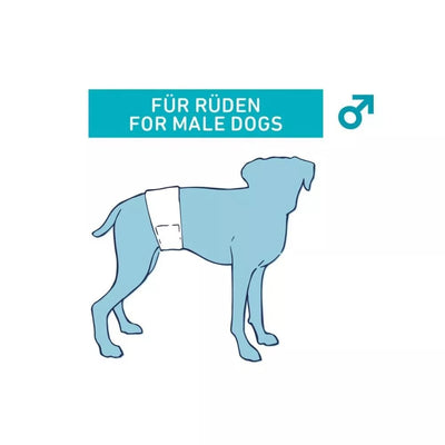 Sauskelnės šunims (patinams), 12 vnt., L - XL, 60 - 80 cm