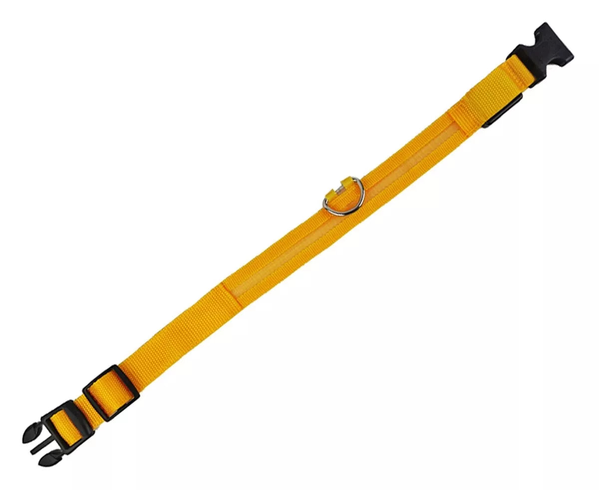 Šviečiantis LED antkaklis