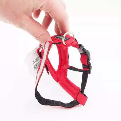 XS Gustaf & Evita“ petnešos