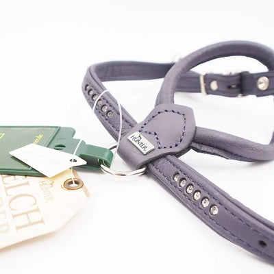 XS petnešos su swarowski Hunter H61493