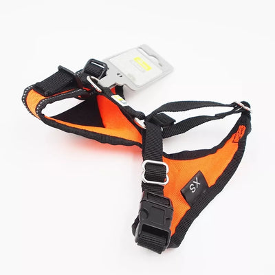 XS petnešos šunims Hunter