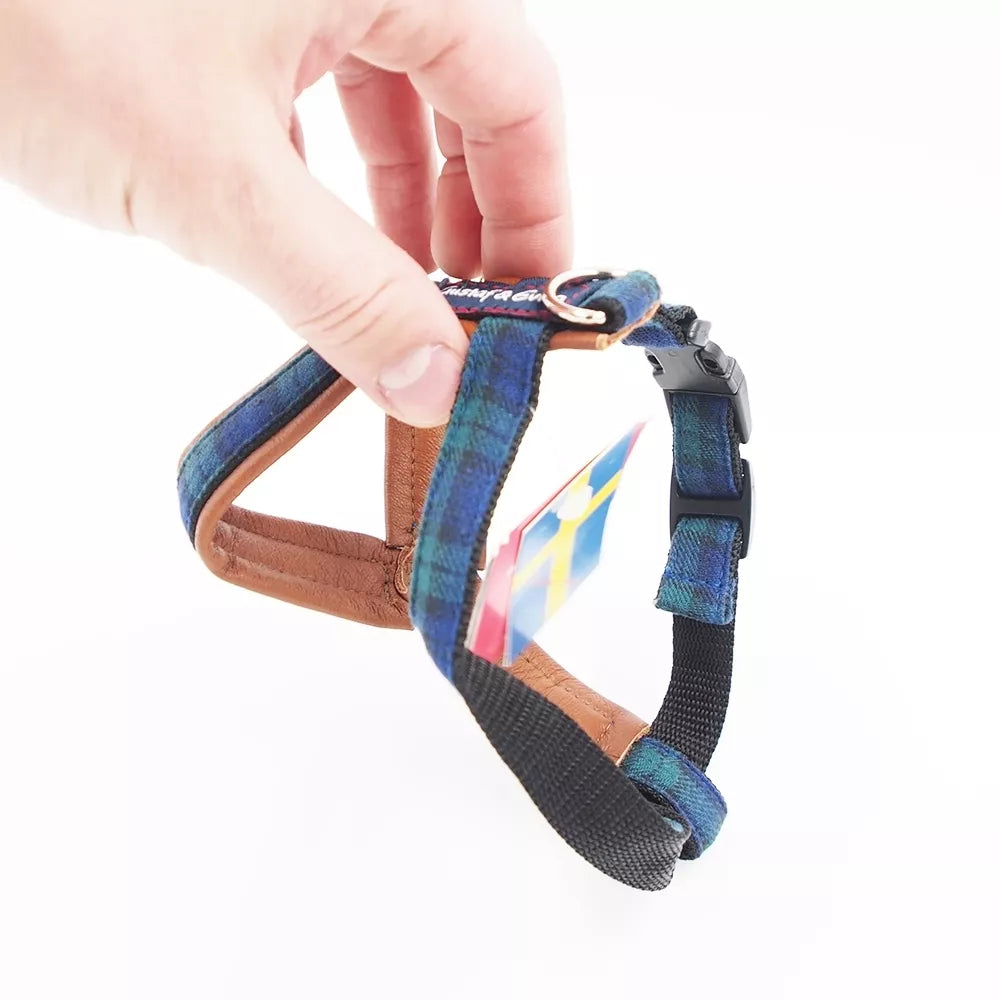 XS petnešos šunims