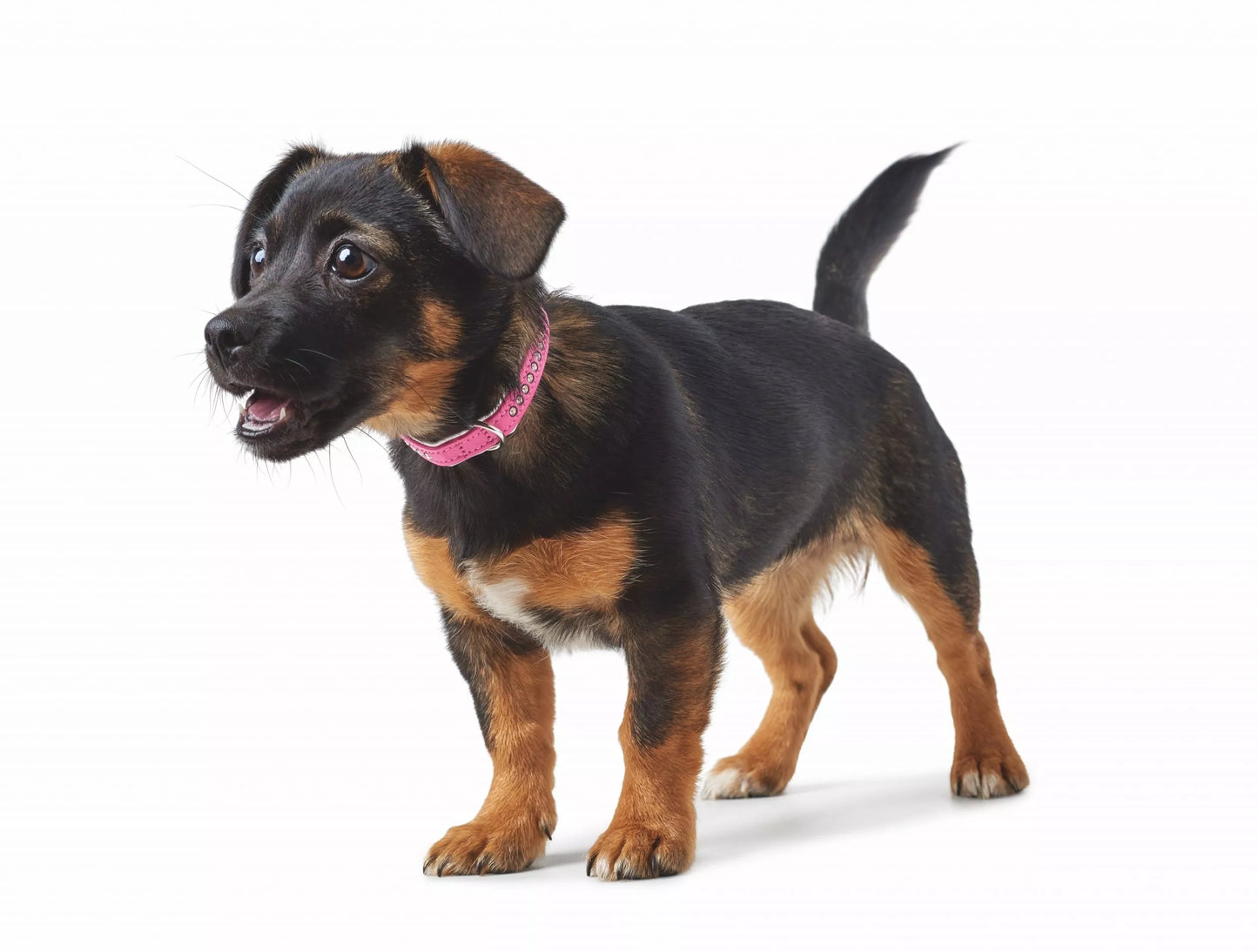 17-20.5 CM. Antkaklis su Swarowski Hunter 70327