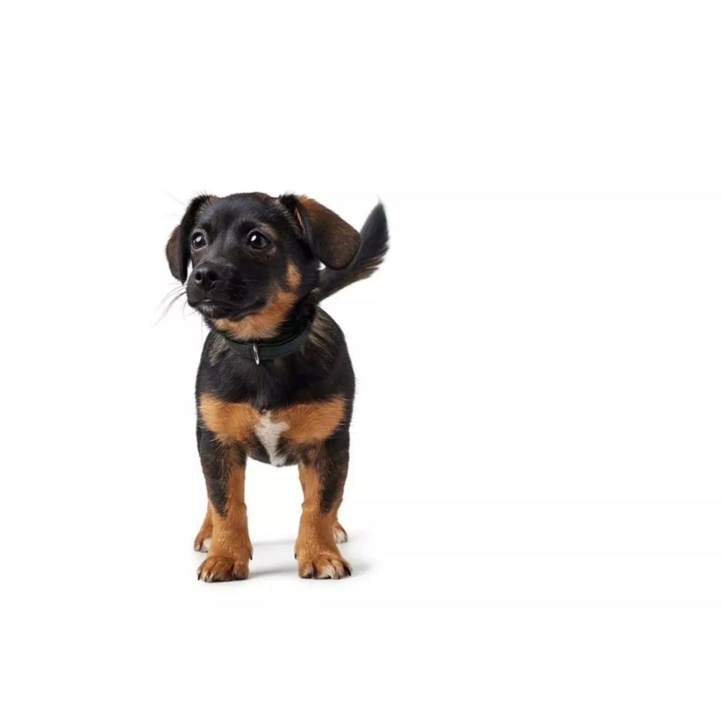 20-23.5 Odinis antkaklis Hunter 97706