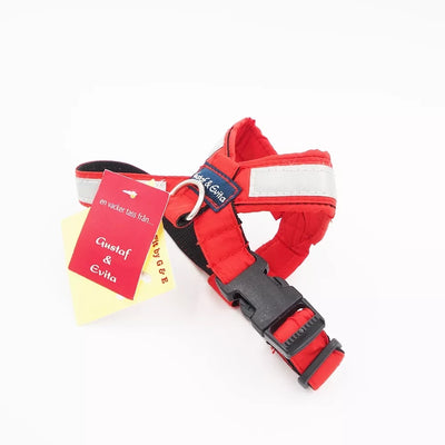 24/32 CM. Gustaf & Evita petnešos GE110305