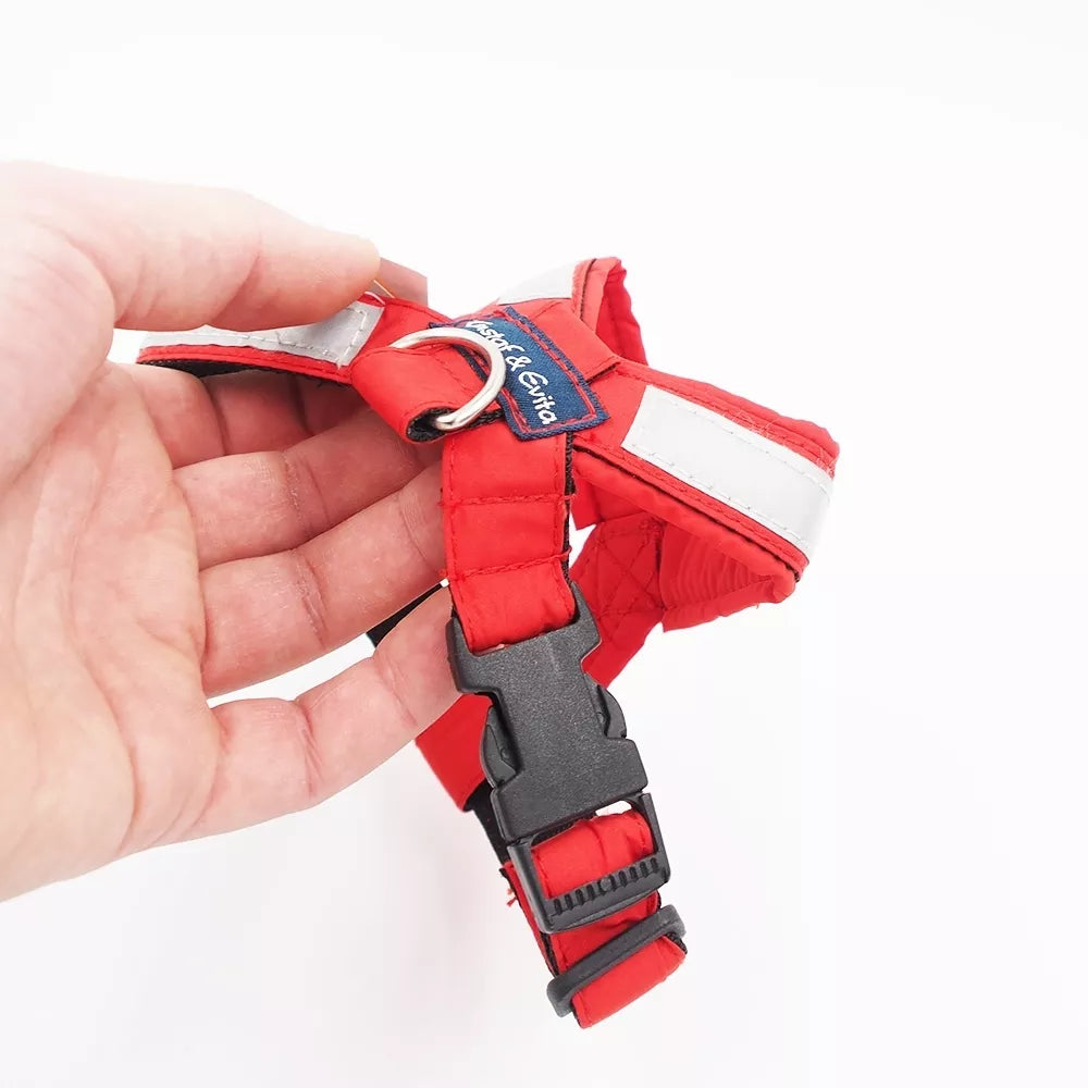 24/32 CM. Gustaf & Evita petnešos GE110305