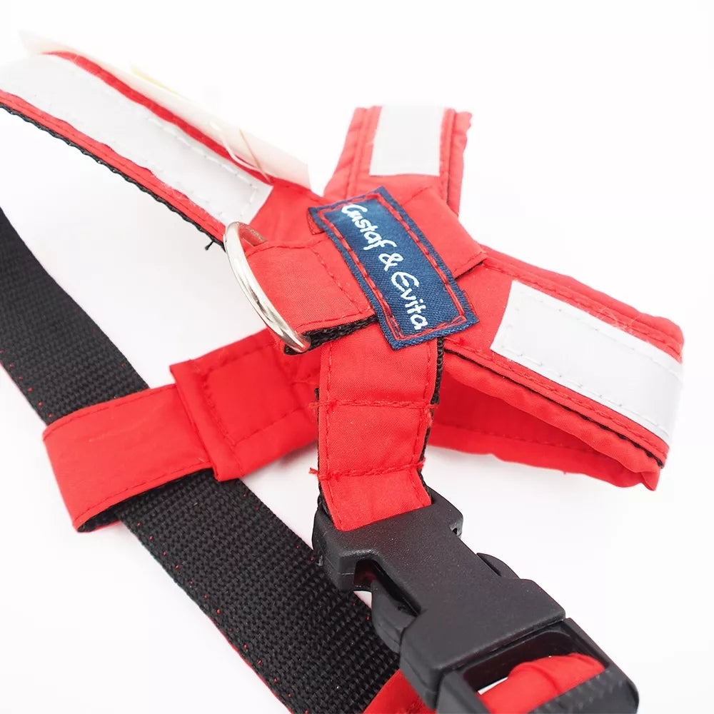 24/32 CM. Gustaf & Evita petnešos GE110305