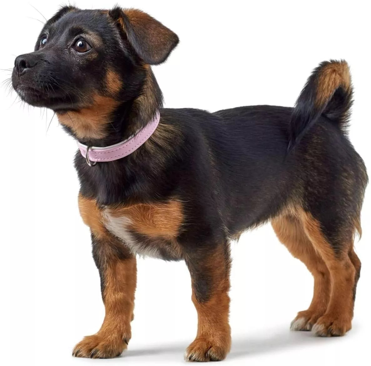 32/11 odinis antkaklis Hunter 97847