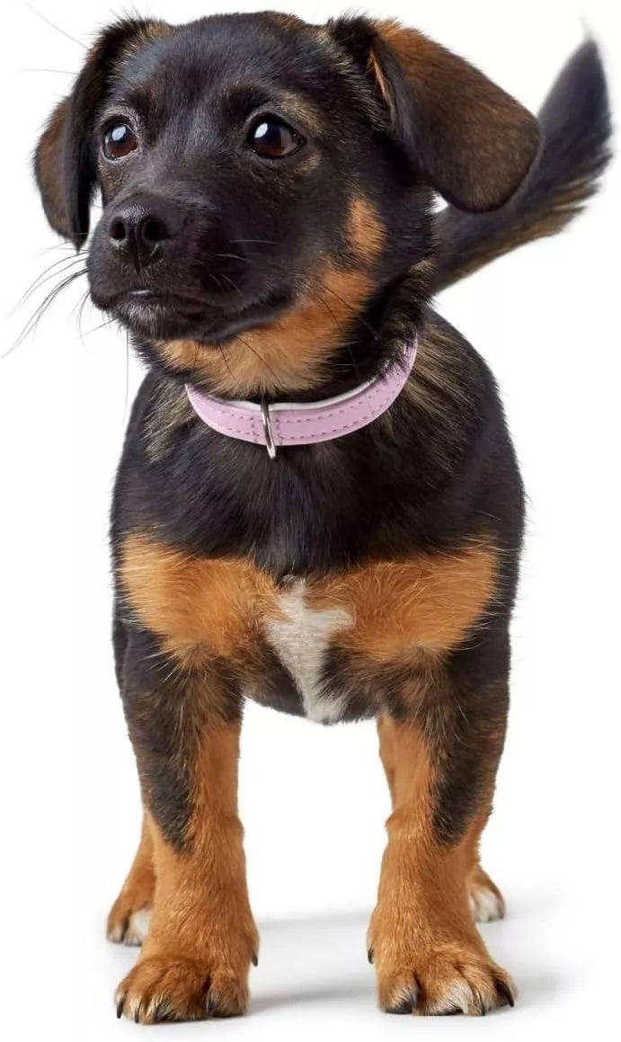 32/11 odinis antkaklis Hunter 97847