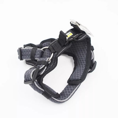 35-45 CM. Petnešos Hunter H93052