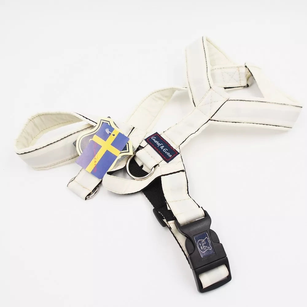 35/60 CM. Gustaf & Evita petnešos GE200902