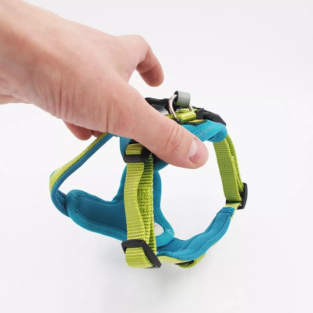 38-48 CM. Petnešos šunims Hunter H62252