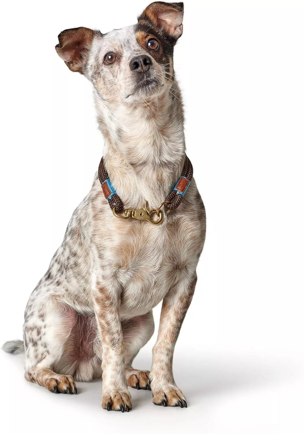 40 CM. Antkalis Hunter