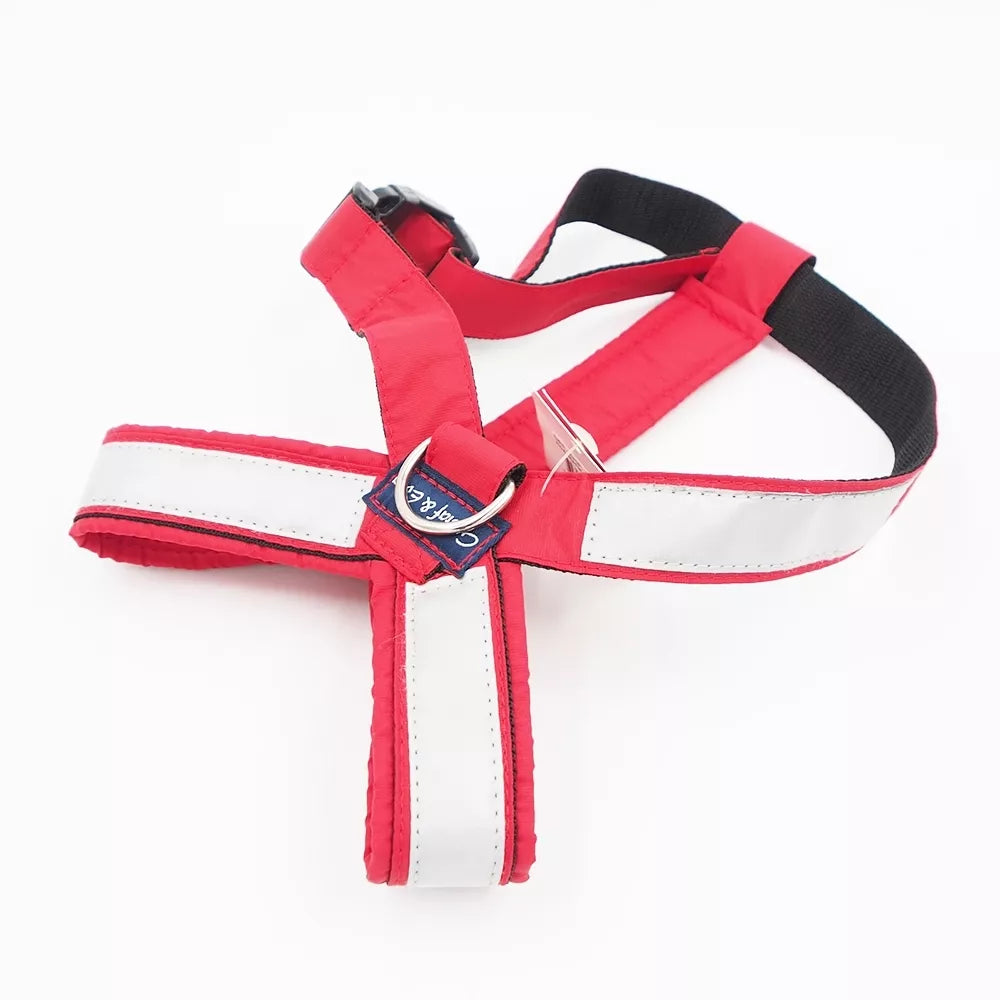 46/80 CM. Gustaf & Evita petnešos GE110305