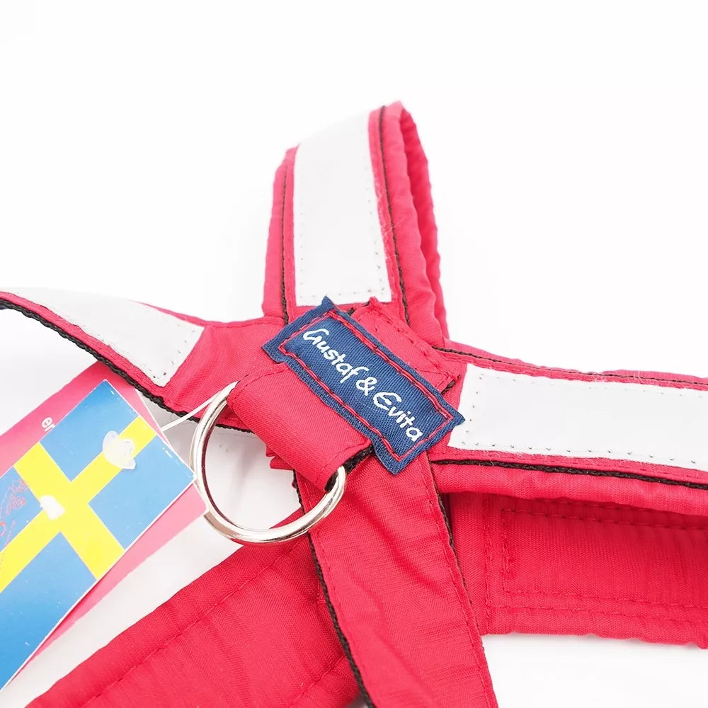 46/80 CM. Gustaf & Evita petnešos GE110305