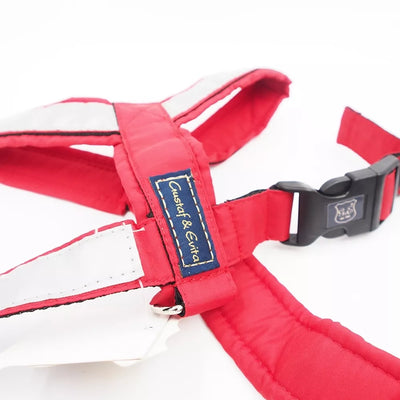 46/80 Gustaf & Evita petnešos