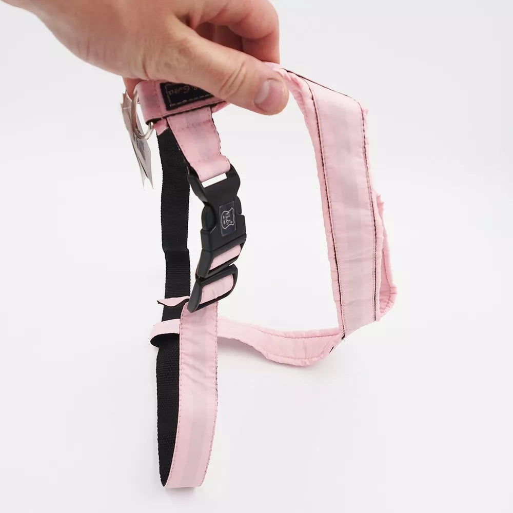 46/84 Petnešos Gustaf & Evita 200304