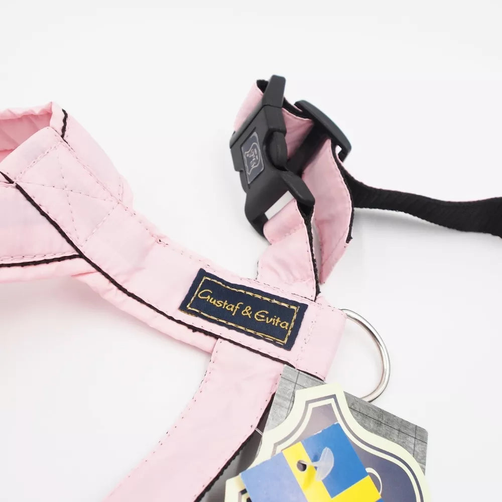 46/84 Petnešos Gustaf & Evita 200304