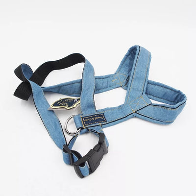 46/84 Petnešos Gustaf & Evita GE221904