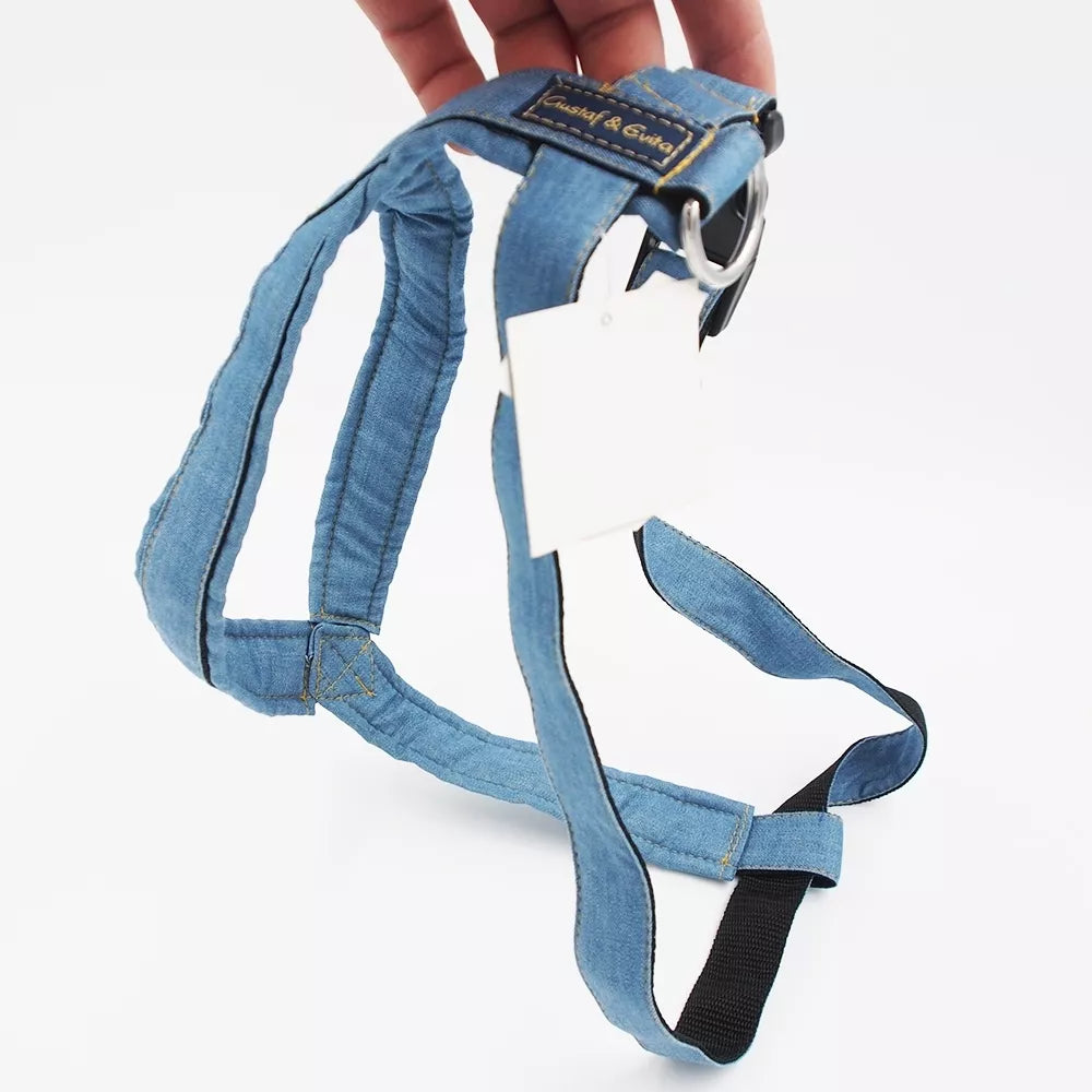 46/84 Petnešos Gustaf & Evita GE221904