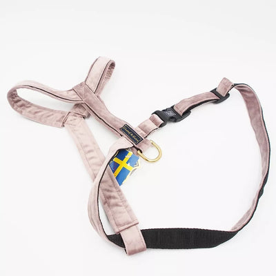 50/90cm. Gustaf & Evita petnešos