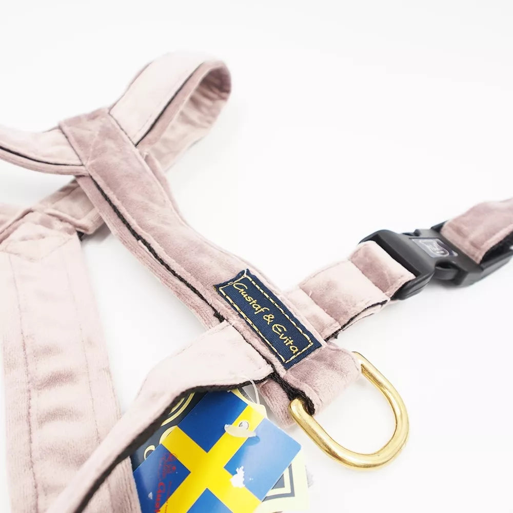 50/90cm. Gustaf & Evita petnešos